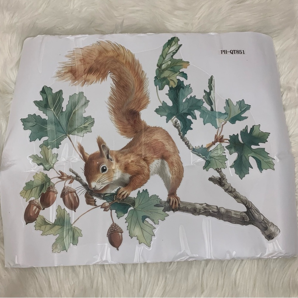 NEW Squirrel Leafy Acorn Wall Sticker Decal Art